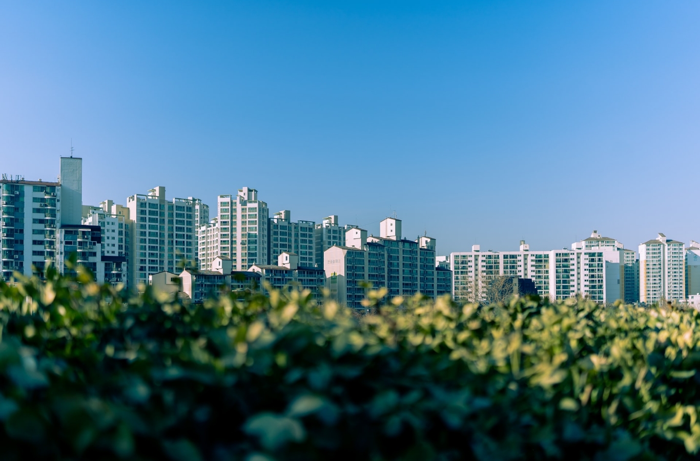 青空とマンションの画像